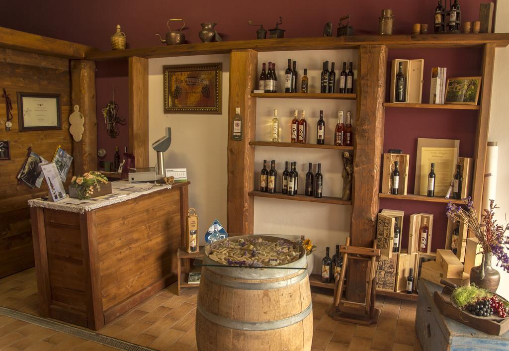 Villa Agriturismo Il Nido Di Bacco à Saluces Extérieur photo