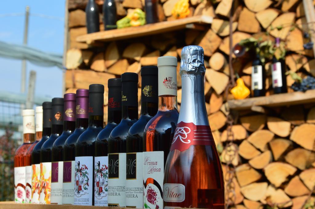 Villa Agriturismo Il Nido Di Bacco à Saluces Extérieur photo
