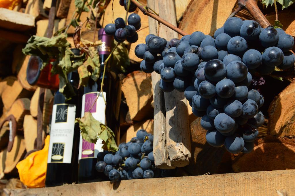 Villa Agriturismo Il Nido Di Bacco à Saluces Extérieur photo